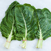 250 BARESE SWISS CHARD White Rib Perpetual Spinach Beta Vulgaris Vegetable Seeds