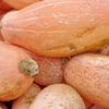 25 Jumbo PINK BANANA SQUASH Perilla Frutescens Heirloom Winter Vegetable Seeds