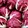 100 ROSSA Di VERONA RADICCHIO / Endive Italian Cichorium Intybus Vegetable Seeds
