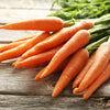 Tendersweet Carrot Seeds – Deep Orange Red Daucus Carota Vegetable – photo 7