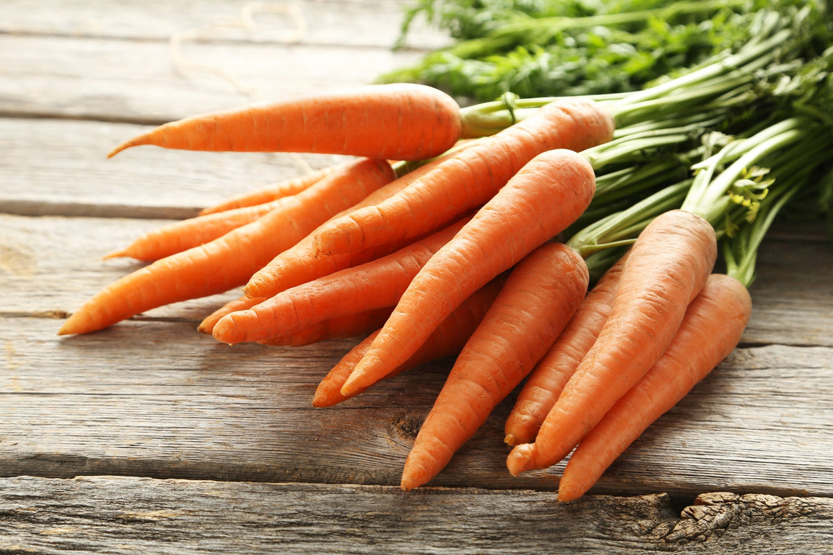 Tendersweet Carrot Seeds – Deep Orange Red Daucus Carota Vegetable – photo 7