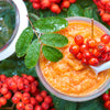 20 ASH TREE Mountain / Amur / Rowan - Sorbus Aucuparia Seeds