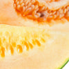30 CRENSHAW MELON ( Muskmelon / Winter Melon / Cranshaw ) Cucumis Melo Fruit Seeds