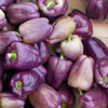 100 LILAC BELL PEPPER Capsicum Annuum Sweet Mild Purple Vegetable Seeds