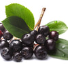50 BLACK CHOKEBERRY Aronia Melanocarpa White Flower Fruit Shrub Seeds