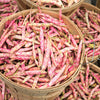 25 DWARF HORTICULTURE BEAN Taylor Long French Phaseolus Vulgaris Vegetable Seeds