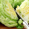 Great Lakes Lettuce Seeds – Batavian Iceberg Lactuca Sativa Vegetable – photo 2