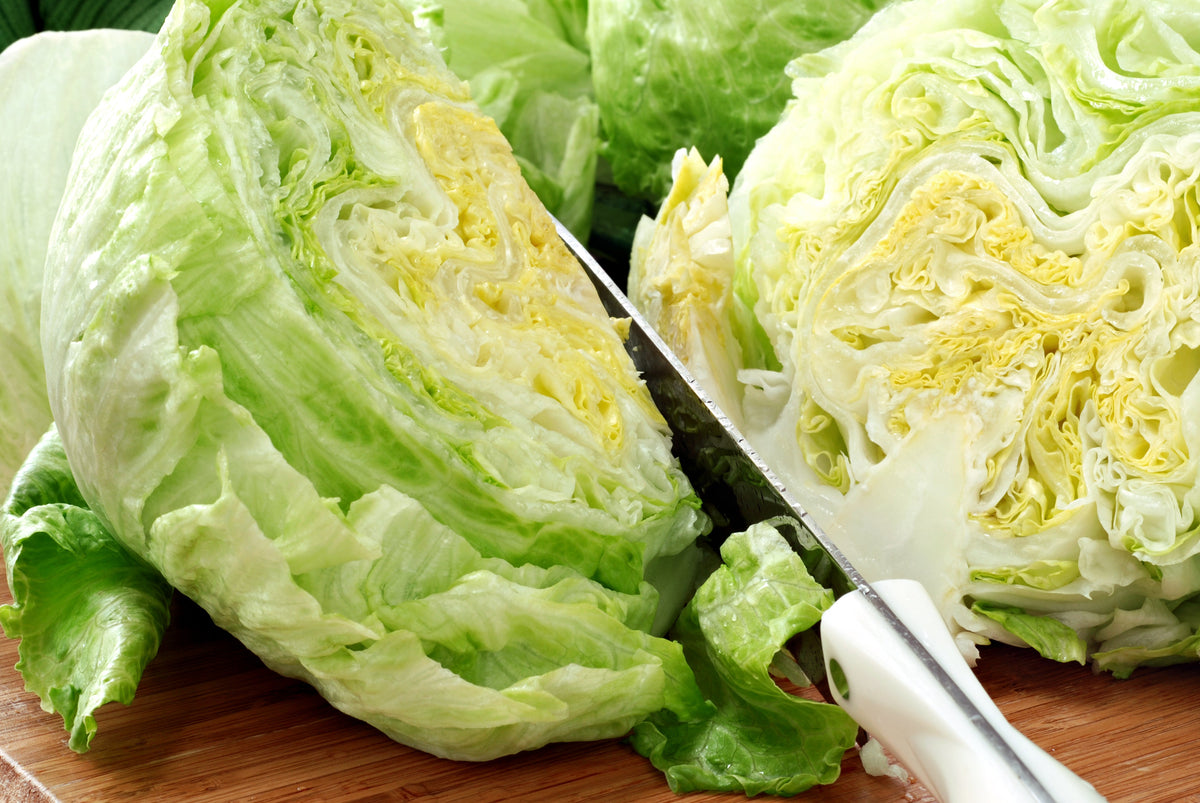 Great Lakes Lettuce Seeds – Batavian Iceberg Lactuca Sativa Vegetable – photo 2