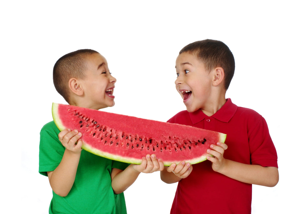 Florida Giant Watermelon Seeds – Cannon Ball Black Diamond Citrullus Fruit – photo 10