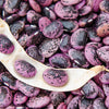 25 SCARLET RUNNER Pole BEAN Ornamental Red Flowers Phaseolus Vulgaris Vegetable Seeds