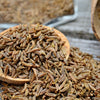 400 CARAWAY Carum Carvi HERB Flower Seeds