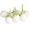 30 EASTER EGG PLANT (Easter Eggplant / Ornamental Eggplant / Nest Egg) Solanum Ovigerum Seeds