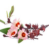 50 ROSELLE HIBISCUS Sabdariffa Rosella Fruit White & Red Flower Seeds