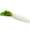 1250 WHITE ICICLE RADISH Raphanus Sativus Vegetable Seeds
