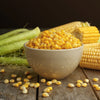 60 YELLOW CORN ' Early Xtra Sweet ' Zea Mays Vegetable Seeds