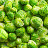 400 CATSKILL BRUSSEL SPROUT Sprouts Brassica Oleracea Vegetable Seeds