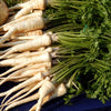 1000 HAMBURG ROOTED PARSLEY Petroselinum Crispum Tuberosum Root Vegetable Seeds