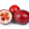Perennial Cranberry Seeds – American Vaccinium Macrocarpon Red Fruit Bush – photo 10