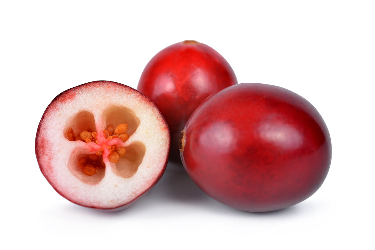 Perennial Cranberry Seeds – American Vaccinium Macrocarpon Red Fruit Bush – photo 10