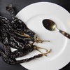 Pasilla Bajio Pepper Seeds – Mexican Chile Negro Capsicum Annuum Vegetable – photo 4
