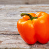 50 ORANGE Sun BELL PEPPER Sweet Capsicum Vegetable Seeds