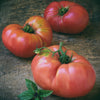 50 Giant BELGIAN PINK TOMATO Huge Pink Skin Lycopersicon Fruit Vegetable Seeds