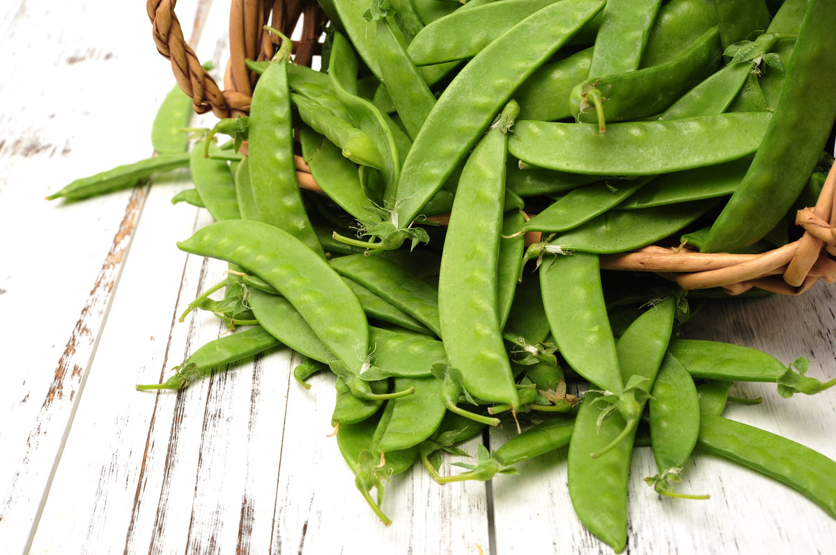 Snow Pea Seeds – Pisum Sativum Vegetable