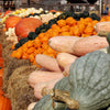 25 Jumbo PINK BANANA SQUASH Perilla Frutescens Heirloom Winter Vegetable Seeds