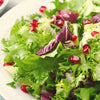 Green Curled Endive Seeds – (Salad Endive / Moss Curled Endive / Escarole) Cichorium Endivia Vegetable – photo 10