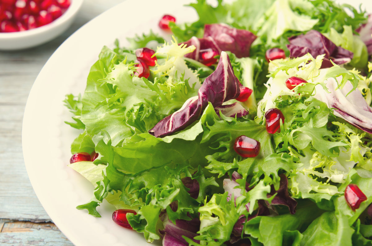 Green Curled Endive Seeds – (Salad Endive / Moss Curled Endive / Escarole) Cichorium Endivia Vegetable – photo 10