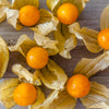 50 PERUVIAN GROUND CHERRY Physalis Peruviana Cape Gooseberry Fruit Veggie Seeds