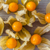 Peruvian Ground Cherry Seeds – Physalis Peruviana Cape Gooseberry Fruit Veggie – photo 6