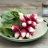 750 FRENCH BREAKFAST RADISH Raphanus Sativus Vegetable Seeds