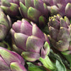 Purple Romagna Artichoke Seeds – Italian Cynara Scolymus Flower Vegetable – photo 8