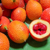 2 GAC FRUIT Gac Melon Vine Momordica Cochinchinensis Seeds