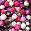 500 Mixed Colors EASTER EGG RADISH Raphanus Sativus Vegetable Seeds