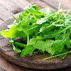 2000 ARUGULA Eruca Vesicaria Sativa Greens Vegetable Seeds