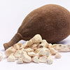 5 African BAOBAB TREE Adansonia Digitata Monkey Bread Judas Fruit Seeds