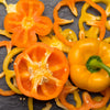 50 ORANGE Sun BELL PEPPER Sweet Capsicum Vegetable Seeds