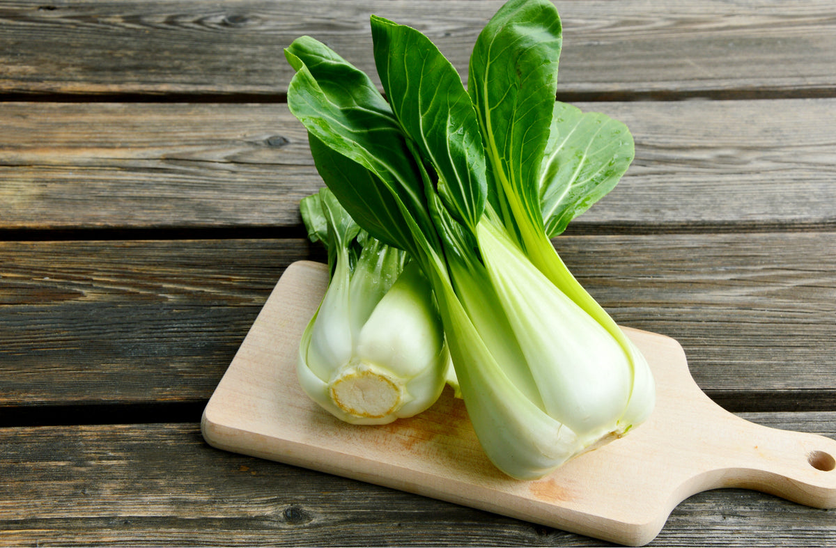 Canton Pak Choi Seeds – (Bok Choy / Chinese Cabbage) Brassica Rapa Chinensis Vegetable