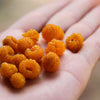 20 SALMONBERRY RUSSIAN RASPBERRY Rubus Spectabilis Fruit Seeds Purple Flowers