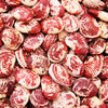 15 CHRISTMAS LIMA BEAN Calico Chestnut Phaseolus Lunatus Legume Vegetable Seeds