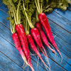 250 RED Arrow SPROUTING RADISH MiniGreen Daikon Raphanus Sativus Vegetable Seeds