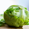 Great Lakes Lettuce Seeds – Batavian Iceberg Lactuca Sativa Vegetable – photo 5