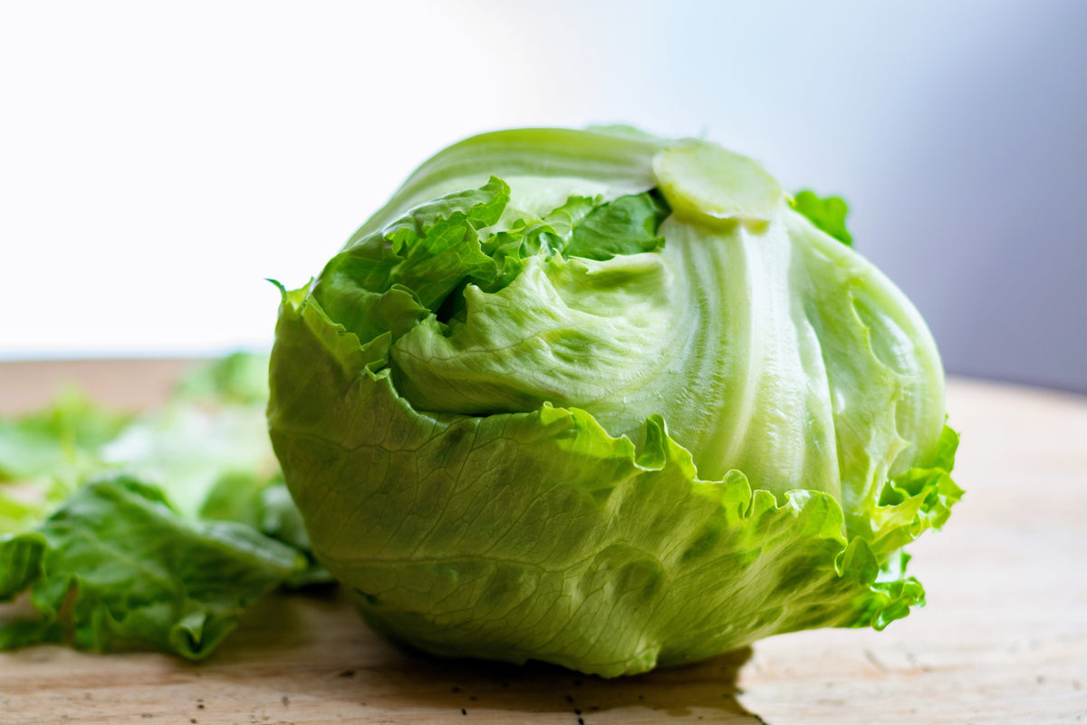 Great Lakes Lettuce Seeds – Batavian Iceberg Lactuca Sativa Vegetable – photo 5