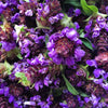 100 HEAL ALL Self Heal Prunella Vulgaris Purple Herb Flower Seeds