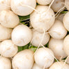 300 WHITE EGG TURNIP Brassica Rapa Vegetable Seeds