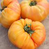50 PINEAPPLE TOMATO Heirloom Beefsteak Indeterminate Solanum Fruit Vegetable Seeds