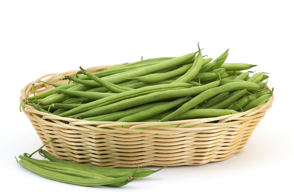 Burpee Stringless Green Pod Bean French Phaseolus Vulgaris Vegetable Seeds – photo 4