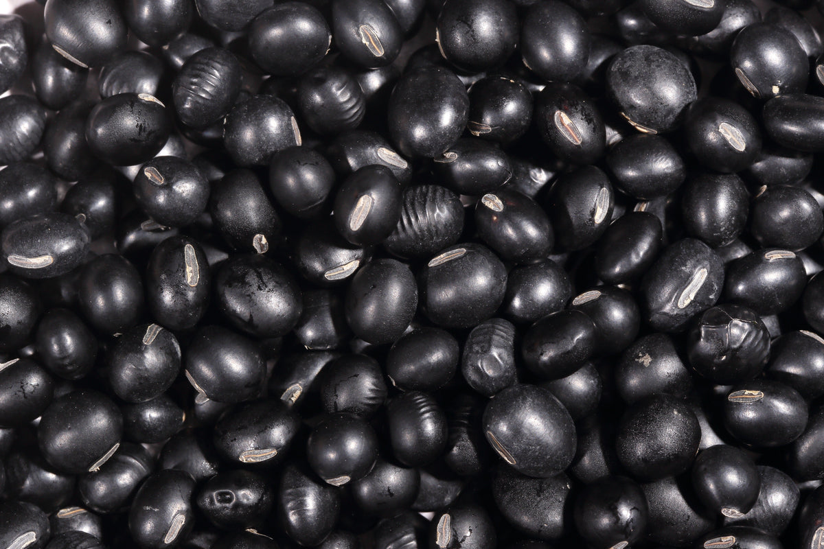 Sweet Black Jet Soybean Seeds (Glycine max)
